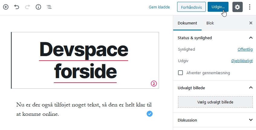 husk-min-hjemmeside-sider udgiv